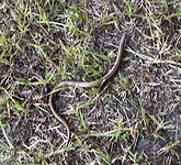IMG_6725