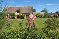 IMG_9043