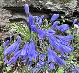 IMG_9138