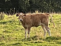 IMG_9198