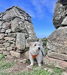 IMG_9215