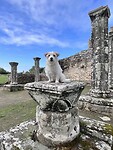 IMG_9229