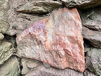 IMG_9231