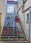 IMG_9289