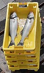 IMG_9301