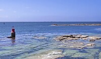 IMG_9306