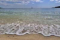 IMG_9317