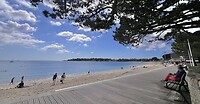 IMG_9334