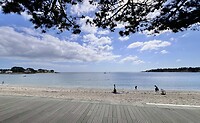 IMG_9335