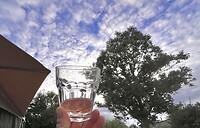 IMG_9352