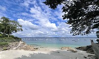 IMG_9496