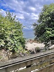 IMG_9459