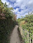 IMG_9458