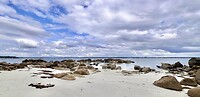 IMG_9415