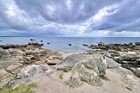 IMG_9400