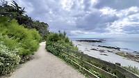 IMG_9388