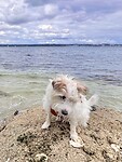 IMG_9445