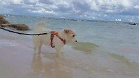 Prachtige kliffen, baaien en strandjes 🏖️