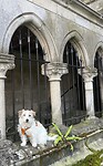 IMG_9747
