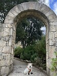 IMG_9758