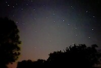 IMG_9712
