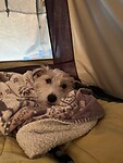 IMG_9881