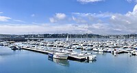 IMG_9901
