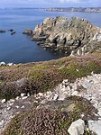 IMG_9851