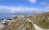 IMG_9842