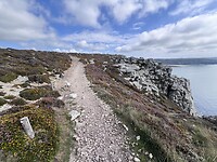IMG_9829