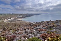 IMG_9825