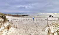 IMG_9926
