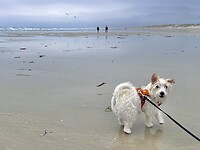 IMG_9927