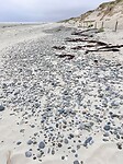 IMG_9928