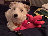 IMG_9935