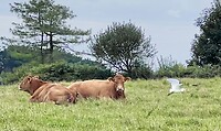 IMG_0045