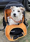 IMG_0039