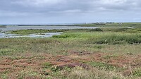 IMG_0036