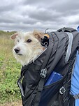 IMG_0023