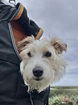 IMG_0022