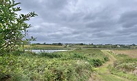 IMG_0008