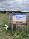 IMG_9957
