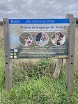 IMG_9955