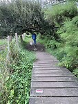 IMG_9948