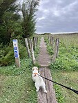 IMG_9945
