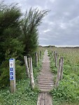 IMG_9944