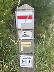 IMG_9942