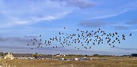 IMG_0271