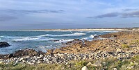 IMG_0257