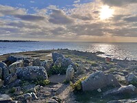 IMG_0204